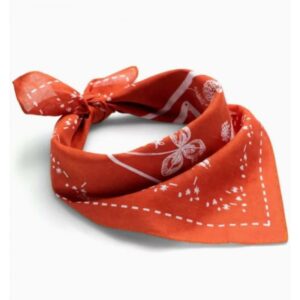 Amundsen Sport Amundsen V-Bond Bandana Weathered Red Gjertsen Sport 1